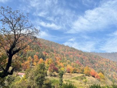 سلام گرم گیلانی ها به زمستان