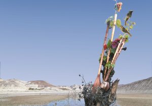 کتاب فرهنگ نامه موسیقی کتولی منتشر شد