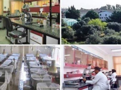 ماجرای تعطیلی قدیمی‌ترین و بزرگ‌ترین پژوهشکده اکولوژیک ملی و بین‌المللی دریای خزر