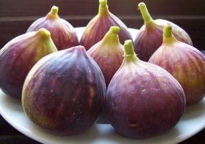 انجیر گیلان؛ فرصت اقتصادی طلایی در دل باغ‌های استان