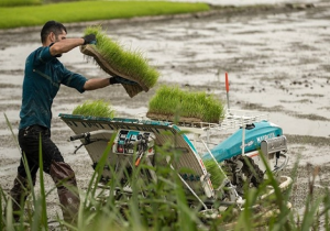 «تقویم زراعی، مکانیزاسیون و صادرات»؛ سه ضلع توسعه کشاورزی نوین گیلان