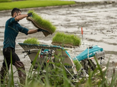 «تقویم زراعی، مکانیزاسیون و صادرات»؛ سه ضلع توسعه کشاورزی نوین گیلان
