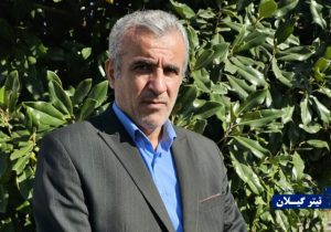 «همای گیلان» یتیم شد