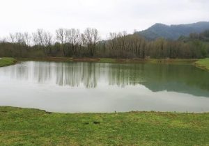 خبر خوب مدیرعامل آب منطقه‌ای گیلان از احیای آب‌بندان‌ها