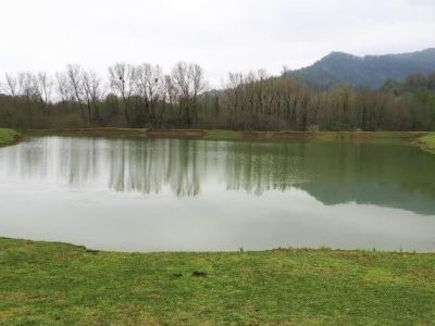 خبر خوب مدیرعامل آب منطقه‌ای گیلان از احیای آب‌بندان‌ها