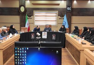 نظام سلامت گیلان علیرغم حضور خیل مسافران در پایداری کامل است