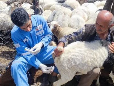 رویای کودک عشایری که روزی مهندس و مدیر امور عشایر شد